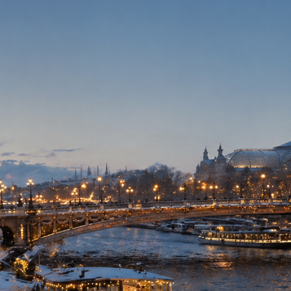 Magie de noël à Paris